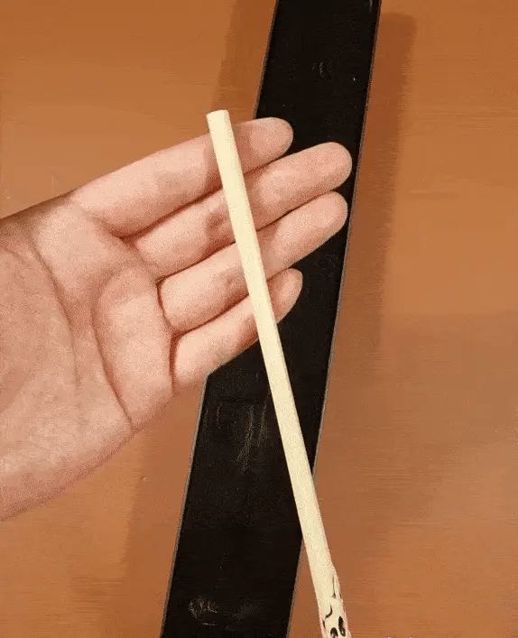 Voldemort wand